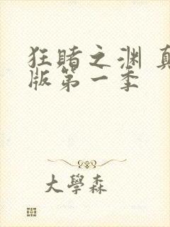 狂赌之渊 真人版第一季