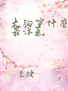 大胸穿什么上衣最洋气