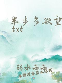 半步多欲望传说 txt