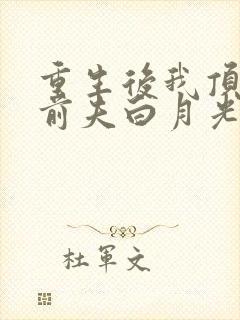 重生后我顶替了前夫白月光说九九月