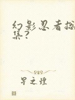 幻影忍者总共几集?