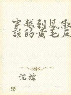 穿越到凤傲天小说的黄毛反派也要幸福