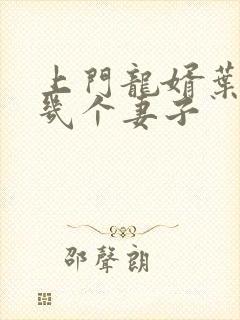 上门龙婿叶辰有几个妻子