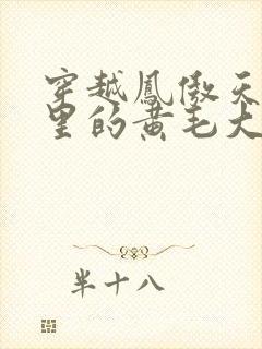 穿越凤傲天小说里的黄毛大反派也想要幸福