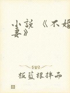 小说 《不婚夫妻》