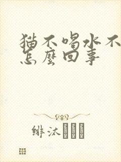 猫不喝水不尿是怎么回事