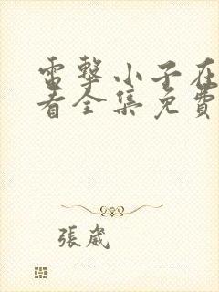 电击小子在线观看全集免费播放