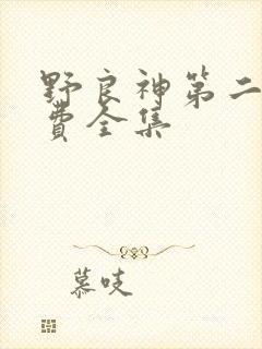 野良神第二季免费全集