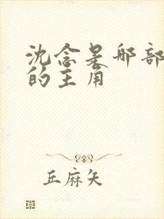 沈念是哪部小说的主角