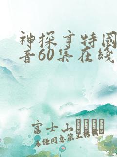 神探亨特国语配音60集在线观看