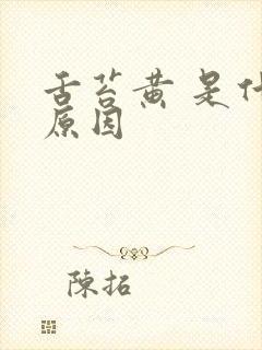 舌苔黄 是什么原因