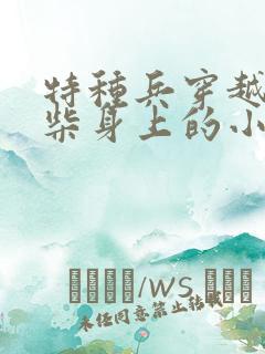 特种兵穿越到废柴身上的小说