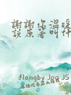 谢谢你温暖我小说原著叫什么