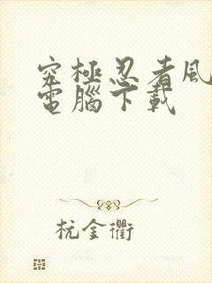 究极忍者风暴4电脑下载