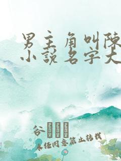 男主角叫陈磊的小说名字大全