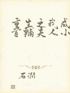 重生之我成为了首辅夫人小说