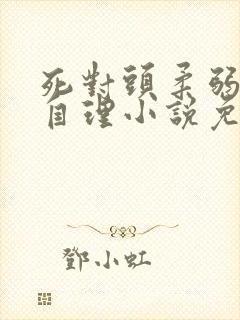 死对头柔弱不能自理小说免费阅读