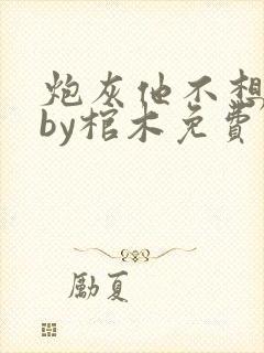 炮灰他不想活了by棺木免费阅读小说