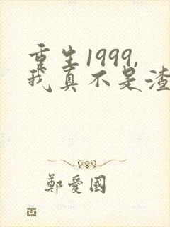 重生1999,我真不是渣男啊