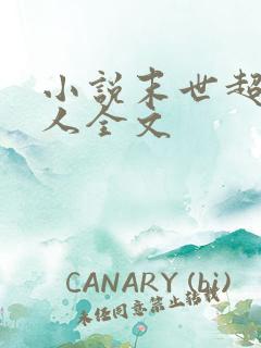 小说末世超级商人全文