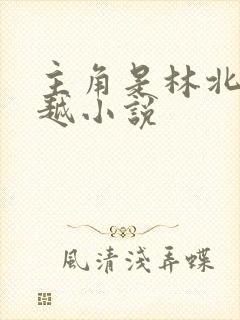 主角是林北的穿越小说