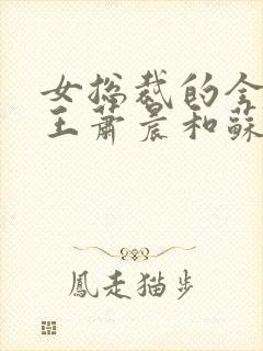 女总裁的全能兵王萧晨和苏晴