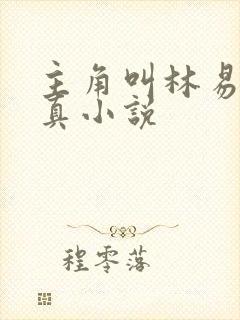 主角叫林易的修真小说