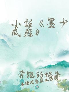 小说《墨少宠妻成瘾》