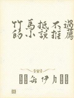 竹马抵不过天降的小说推荐