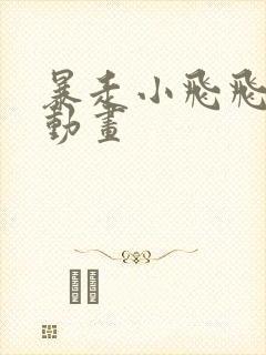 暴走小飞飞沙雕动画