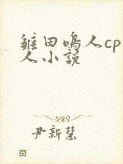 雏田鸣人cp同人小说