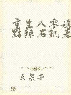 重生八零媳妇有点辣石凯老婆结局