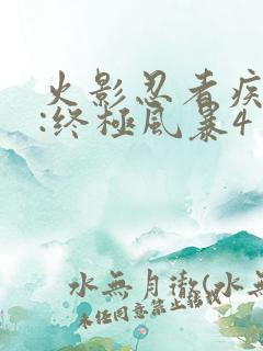 火影忍者疾风传:终极风暴4