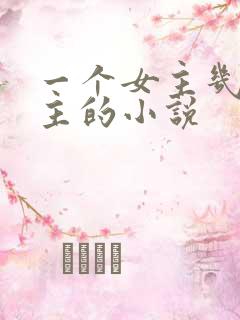 一个女主几个男主的小说