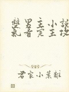 双男主小说一口气看完主攻