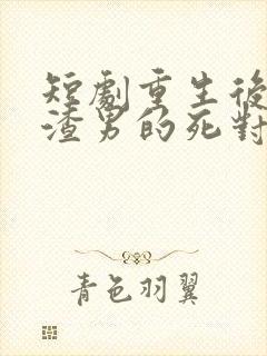 短剧重生后嫁给渣男的死对头