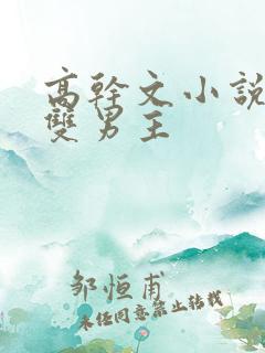 高干文小说推荐双男主