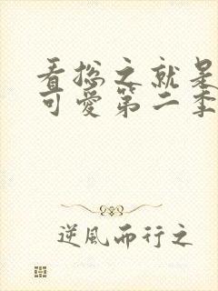 看总之就是非常可爱第二季全集