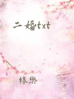二婚txt