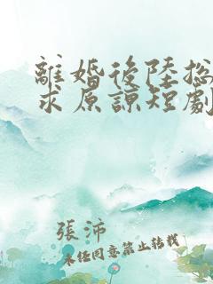 离婚后陆总跪着求原谅短剧免费观看