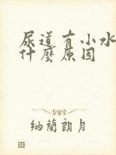 尿道有小水泡是什么原因