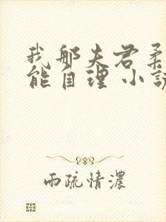 我那夫君柔弱不能自理 小说