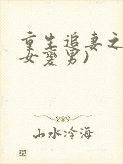 重生追妻之路(女变男)