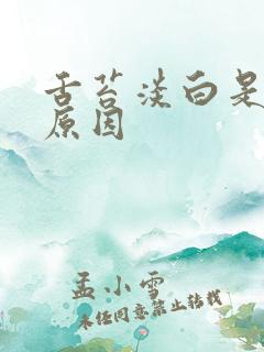 舌苔淡白是什么原因