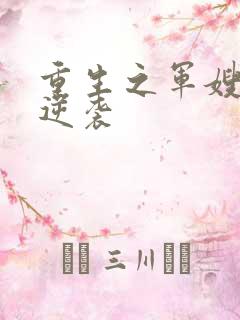 重生之军嫂懒妻逆袭