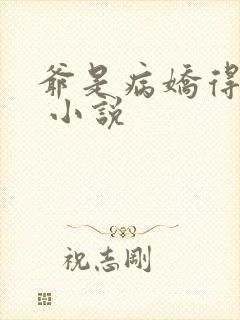 爷是病娇得宠着 小说