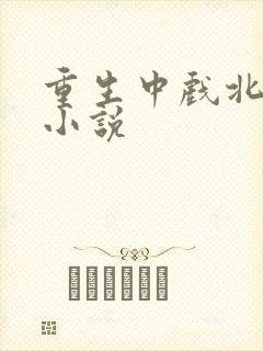 重生中戏北电的小说