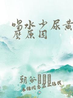 喝水少尿黄是什么原因