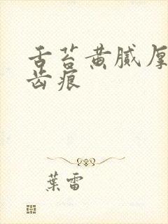 舌苔黄腻厚白有齿痕