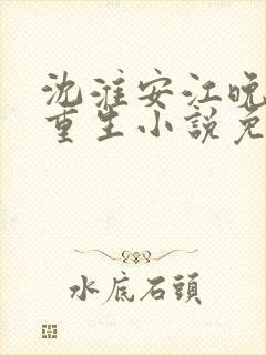 沈淮安江晚吟的重生小说免费阅读